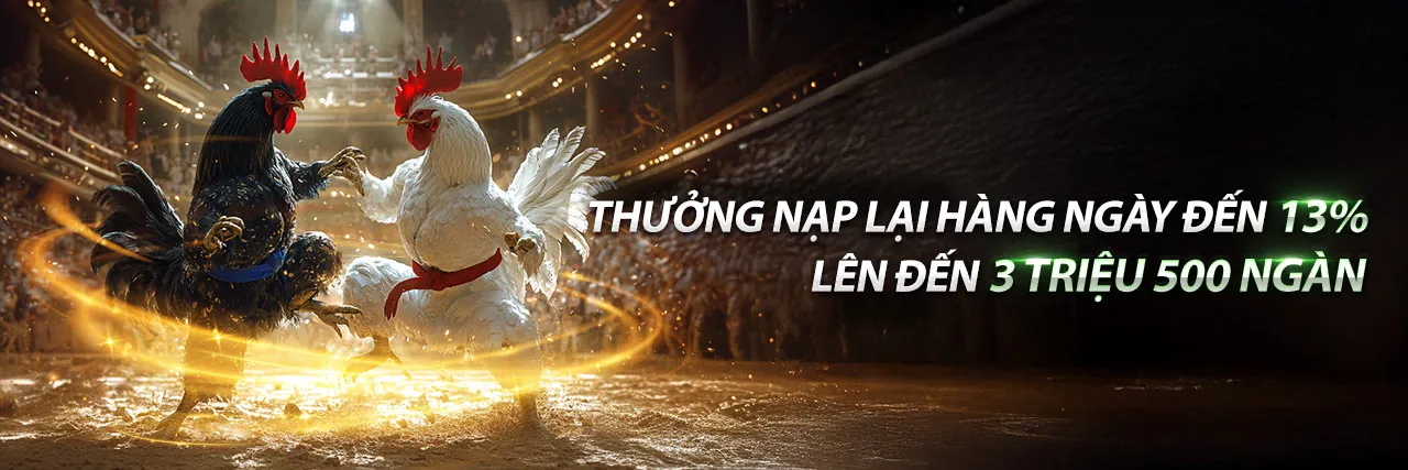 Tin tức Provip88 mới nhất